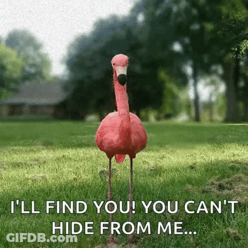 Pink Flamingo Saying I'll Find You You Can't Hide From Me GIF
