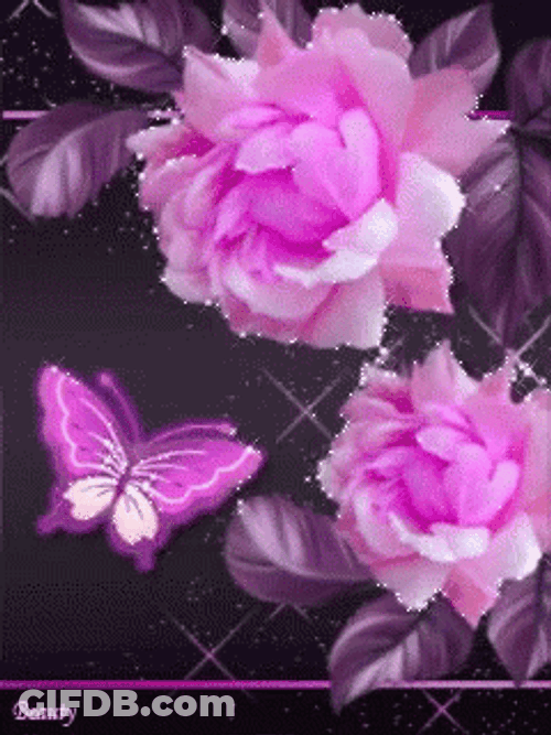 Pink Flower And Butterfly GIF