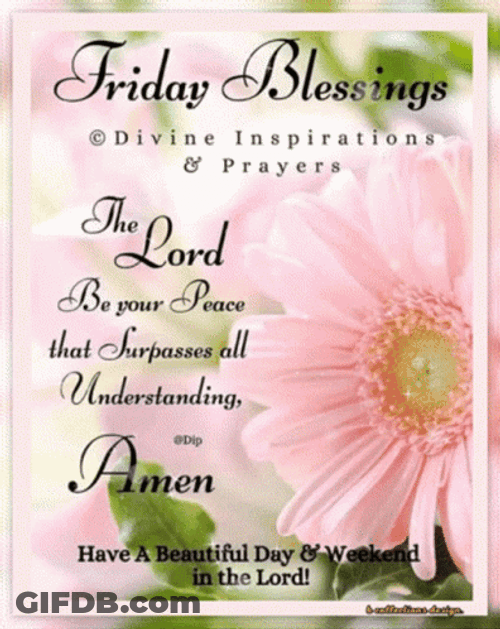 Pink Flower Blessed Friday GIF