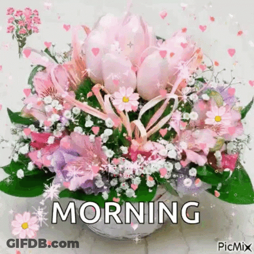 Pink Flower Bouquet Morning GIF
