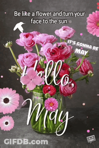 Pink Flower Bouquet With Sun Quote GIF