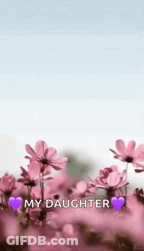Pink Flower Field My Daughter GIF