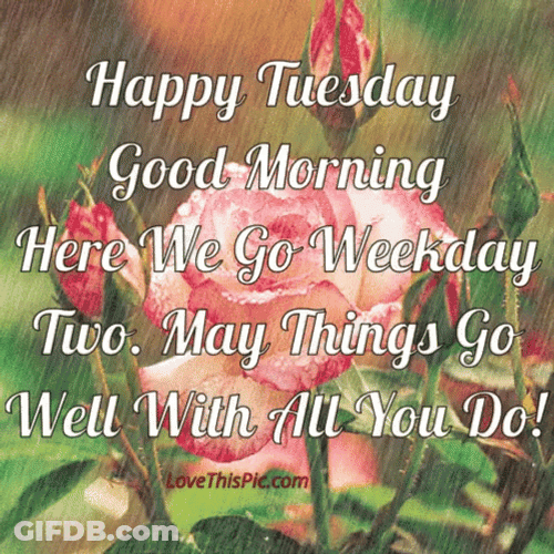 Pink Flower Good Tuesday Morning Drizzle GIF