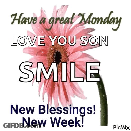 Pink Flower Have Great Monday Love You Son GIF