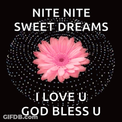 Pink Flower Nite Nite Sweet Dreams I Love U God Bless U GIF