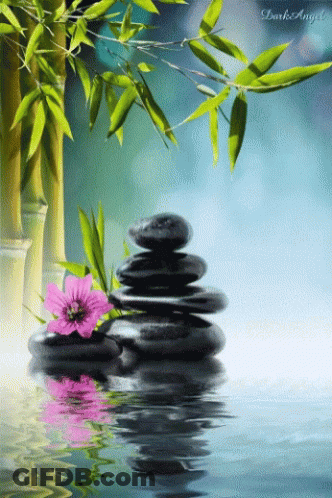 Pink Flower On Rocks In Water With Bamboo GIF