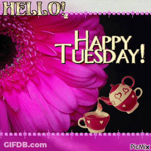 Pink Flower Saying Hello Happy Tuesday GIF