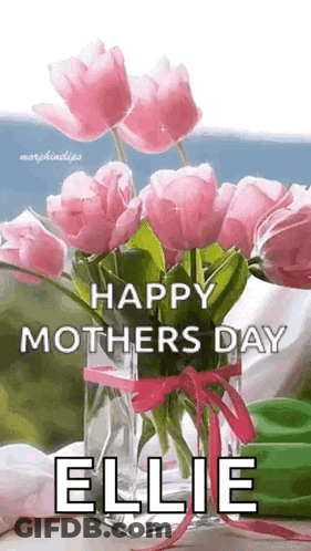Pink Flower Vase With Ellie GIF