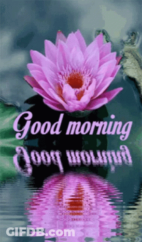 Pink Flower With Good Morning GIF