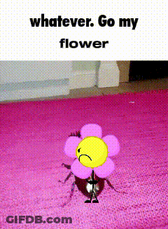 Pink Flower With Sad Face On Pink Rug GIF