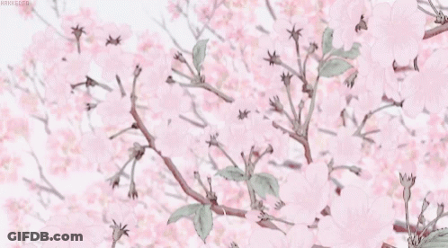 Pink Flowers GIF