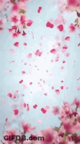 Pink Flowers Falling From Tree GIF