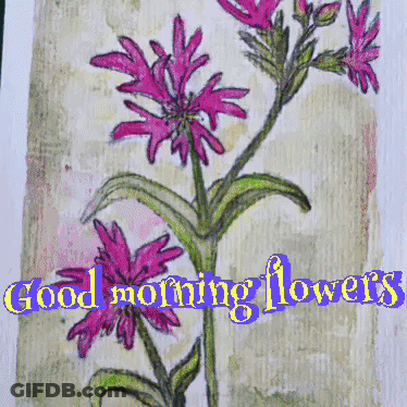 Pink Flowers Good Morning GIF