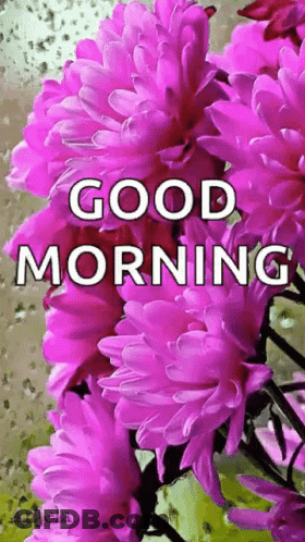 Pink Flowers Good Morning GIF