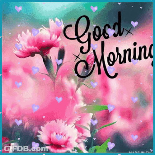 Pink Flowers Good Morning GIF