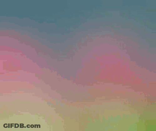 Pink Flowers Good Morning GIF