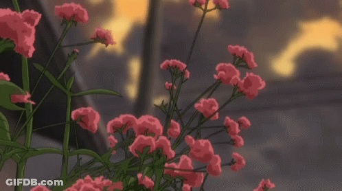 Pink Flowers Growing In Grass GIF