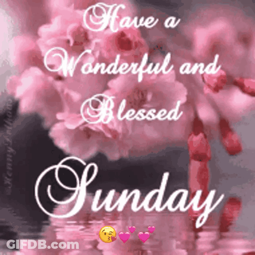 Pink Flowers Have A Wonderful And Blessed Sunday GIF
