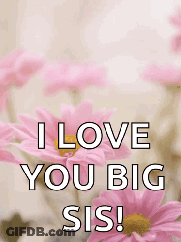 Pink Flowers I Love You Big Sis GIF