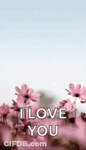Pink Flowers I Love You GIF