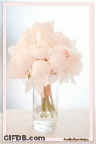 Pink Flowers In A Vase Have A Lovely Day GIF