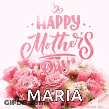 Pink Flowers In Field With Blue Sky GIF