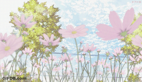 Pink Flowers In Field GIF