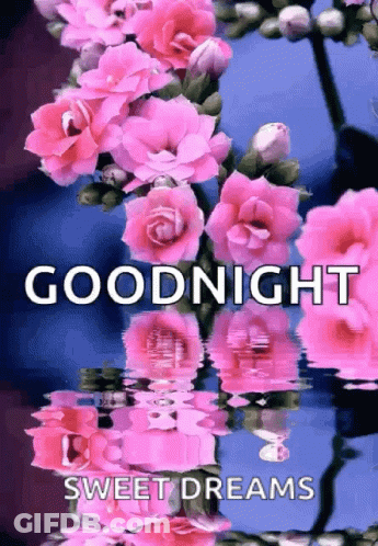 Pink Flowers Reflecting In Water GIF