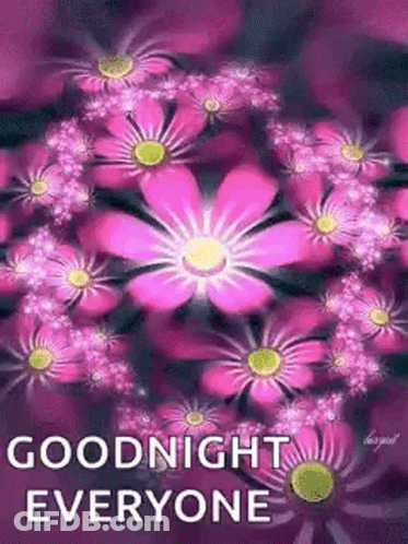 Pink Flowers Saying Goodnight Everyone GIF