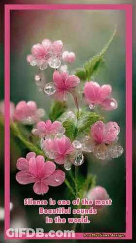 Pink Flowers Silence Is One Of The Most Beautiful Sounds GIF