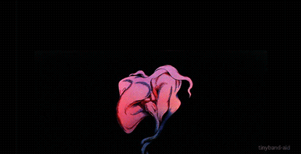 Pink Floyd Wild Flower GIF