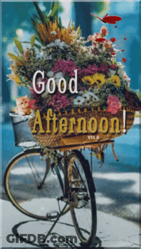 Pink Gift Box On Wooden Floor Saying Hope All Is Well Happy Wednesday GIF