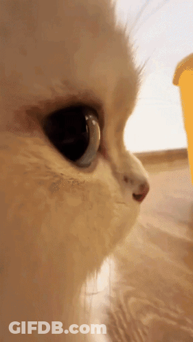 Pink Haired Anime Girl With Headphones And Okie Dokie Mask GIF