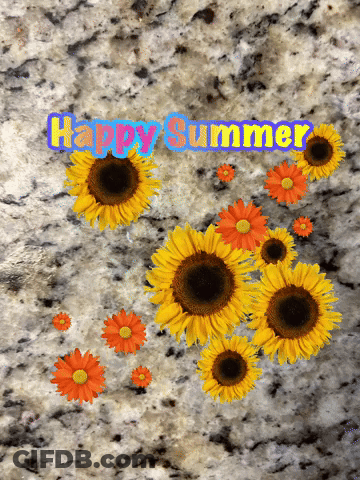 Pink Hat Cat Saying Happy Summer Paul GIF