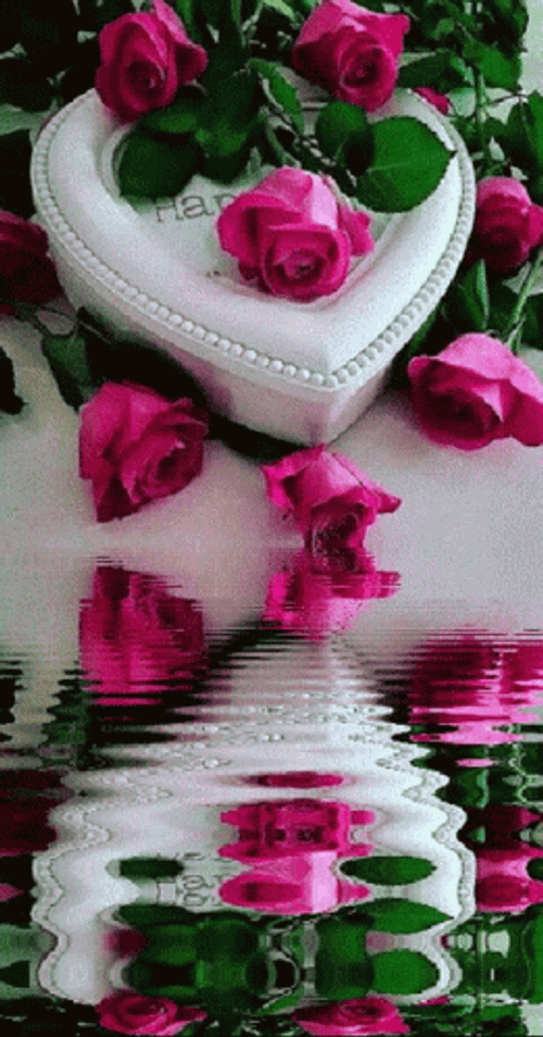 Pink Heart Box Roses Reflection GIF