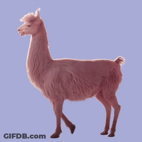 Pink Llama Running GIF