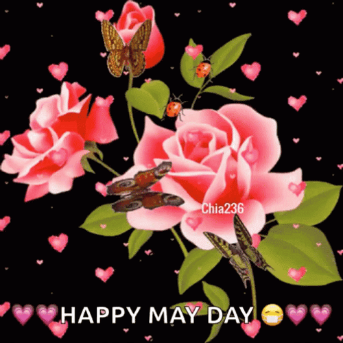 Pink May Flowers With Butterflies On It GIF