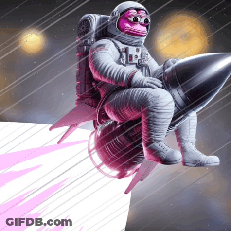 Pink Monkey Sitting On Rocket GIF