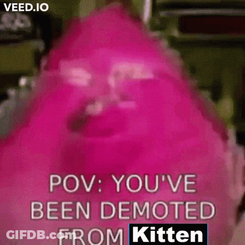 Pink Object Saying POV You've Been Demoted From Kitten GIF