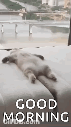 Pink Panther Stay Warm And Cozy GIF