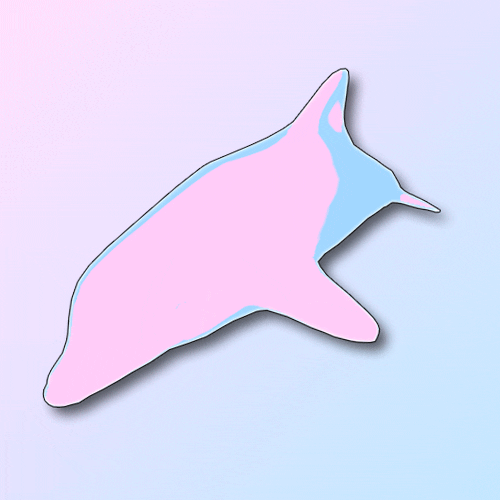 Pink Pastel Art Dolphin GIF