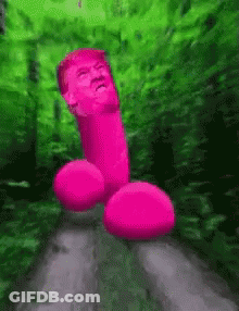 Pink Penis With Donald Trump Face GIF