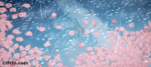 Pink Petals Falling Into Water GIF