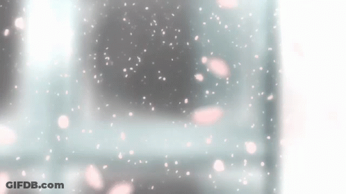 Pink Petals Falling On A White Surface GIF