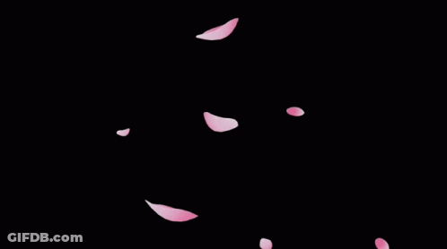Pink Petals Falling GIF