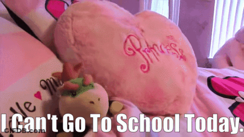 Pink Pillow With Princess Embroidered GIF