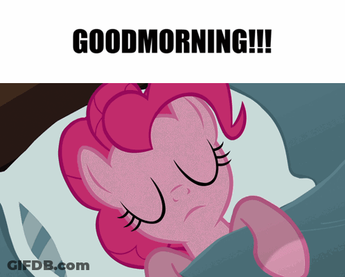 Pink Pony Sleeping In Bed Good Morning GIF