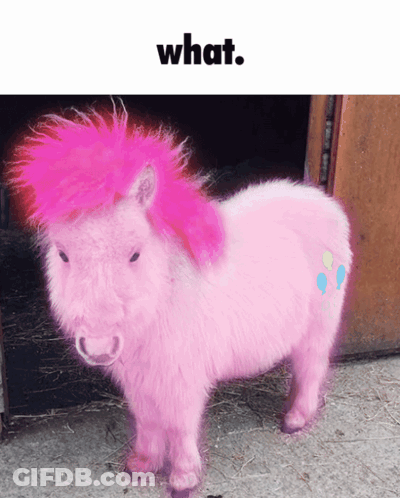 Pink Pony Standing In Front Of Door Saying What GIF