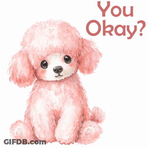 Pink Poodle Saying You Okay GIF