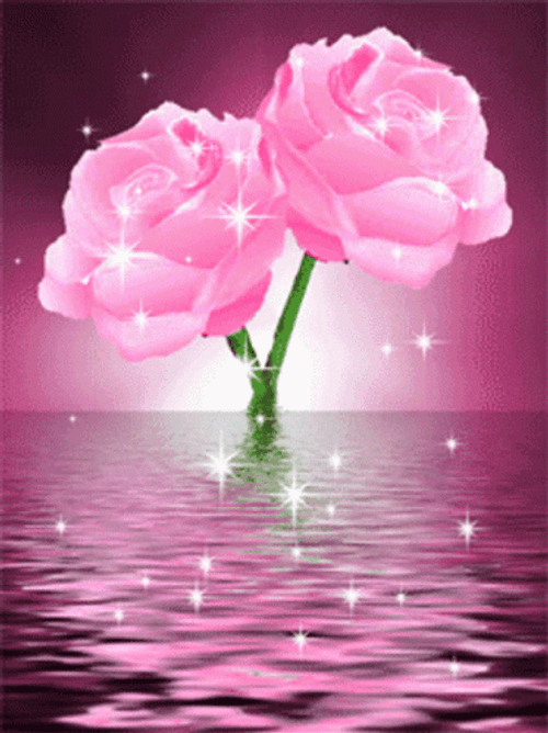 Pink Rosas In The Ocean GIF
